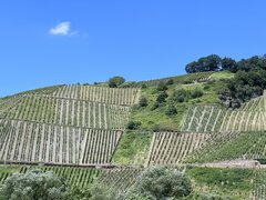 IMG_6282.jpeg