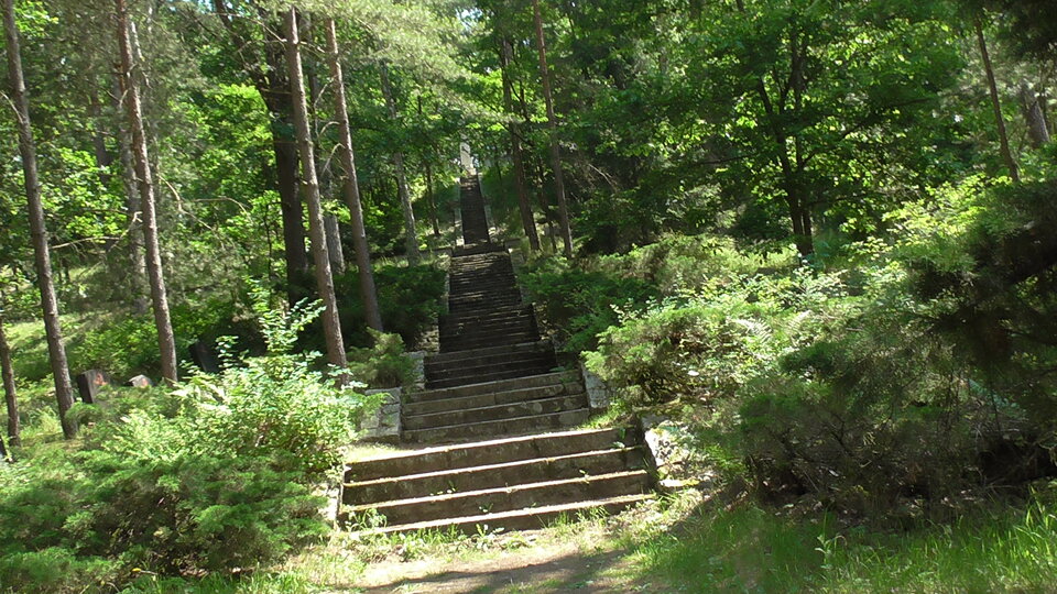 S2590017.JPG - bojman8