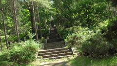 S2590017.JPG