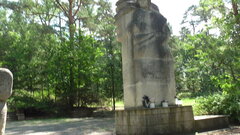 S2590024.JPG