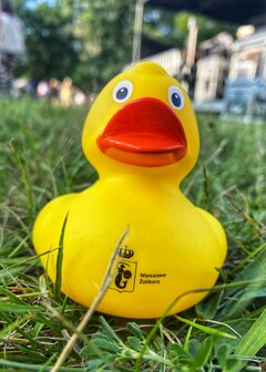 🤣🐥