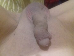 IMG_20240608_223904.jpg