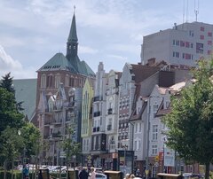 IMG_2200.jpeg