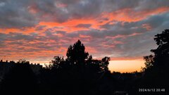 IMG_20240612_204844_1.jpg