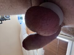 IMG_2367.jpeg