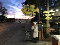 IMG_2229.jpeg