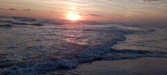 IMG_20240613_205240.jpg