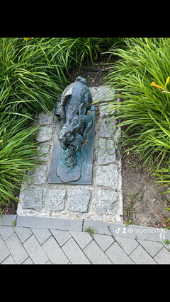 IMG_2044.jpeg