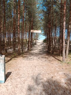 IMG_20240615_102652.jpg