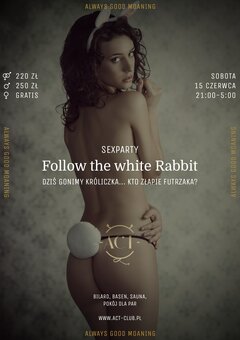 15 CZERWCA - Follow the white Rabbit - SexParty