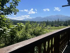 IMG_1631.jpeg