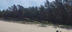 IMG_20240615_095207.jpg