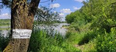 KD 15.06.2024