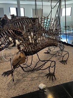 IMG_7292.jpeg