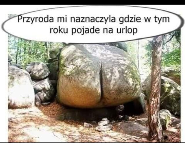 1718531703907.jpg - Bzyki2424