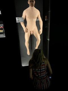 IMG_7530.jpeg
