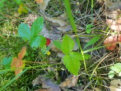 20240617_103745.jpg