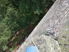 IMG_20240615_115816.jpg