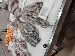 20230930_083553.jpg