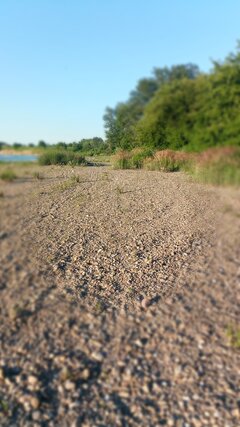 IMG_20240617_191806_0.jpg