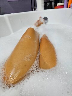 1000014731.jpg