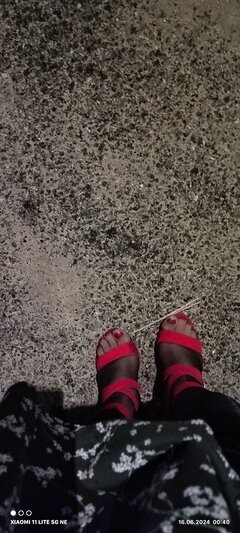 1000108373.jpg