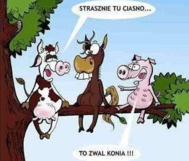 NiezbytRozgarniety