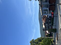 IMG_2349.jpeg