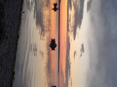 IMG_20240617_214821954.jpg