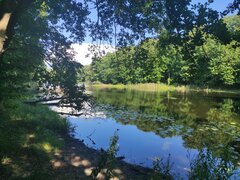 IMG_20210808_162234.jpg