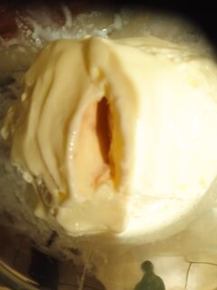 Lody