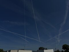 IMG_1827.jpg