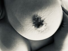 IMG_2966.jpeg