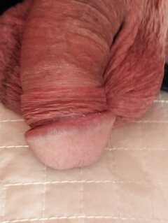 IMG_20240620_073854.jpg