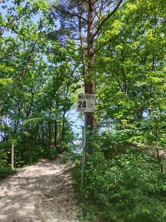 IMG_20240621_121344.jpg