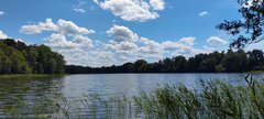 IMG_20240616_132217.jpg