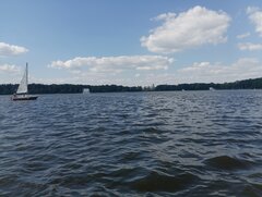 IMG_20240623_153608.jpg