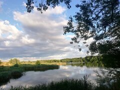 IMG_20230712_200551.jpg