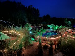 IMG_2867.jpeg