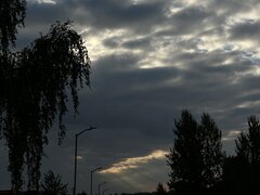 IMG_1862.jpg
