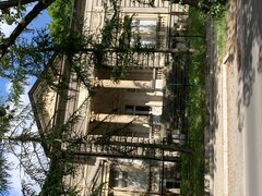 IMG_2221.jpeg