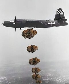 1000004724.jpg
