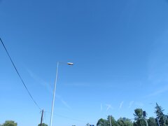 IMG_20240625_081331290.jpg