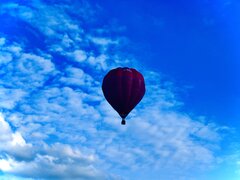 IMG_5533.jpeg