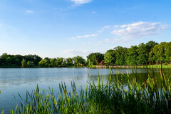 DSC08706.jpg