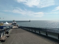 IMG_20220805_111732.jpg
