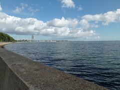 IMG_20220807_094547.jpg