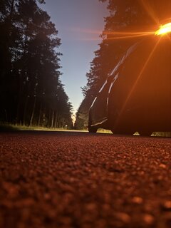 IMG_0977.jpeg
