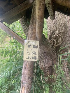 IMG_1129.jpeg