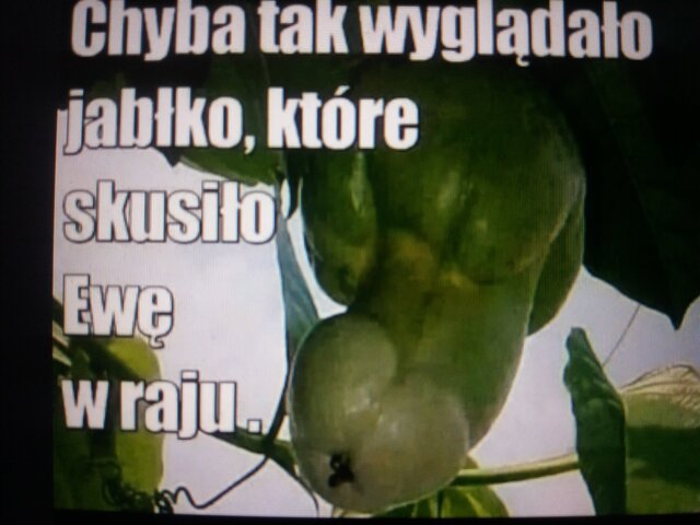 ulotna_chwila
